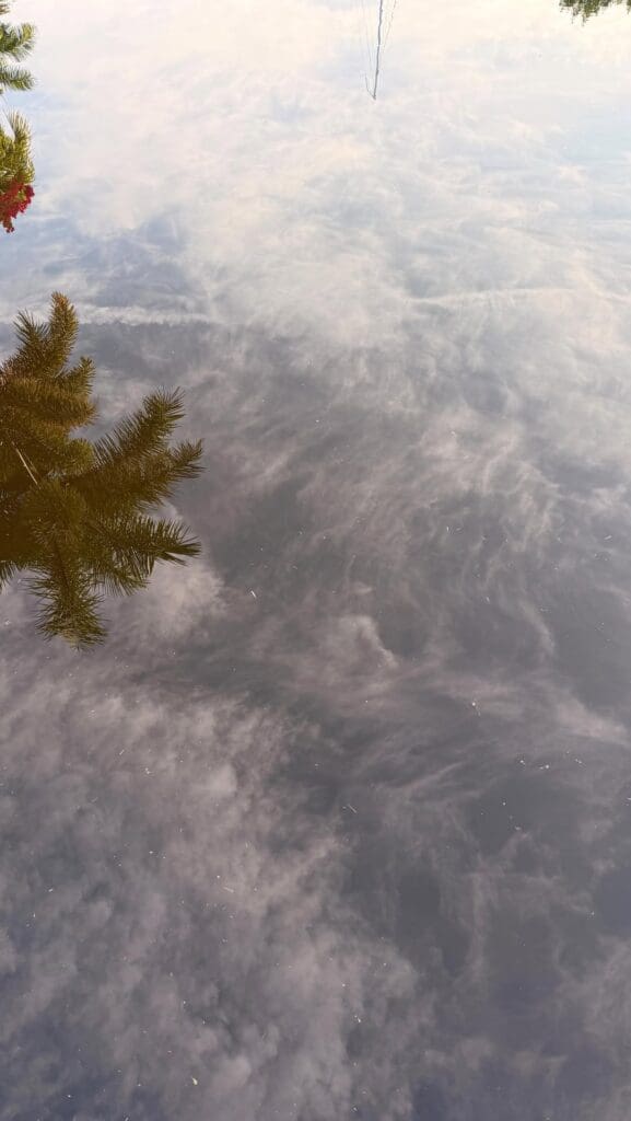 Soft cloud reflections over calm water with palm leaves in the corner, creating a quiet, peaceful scene